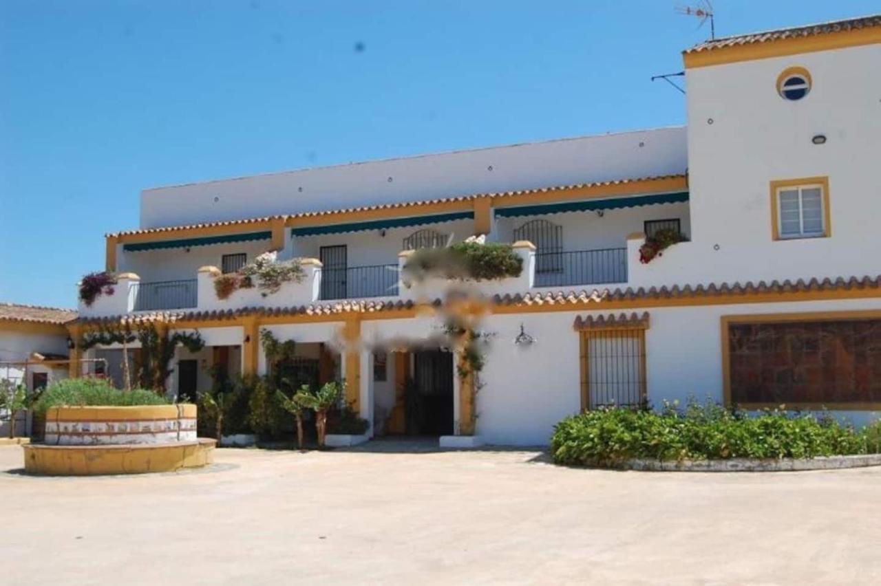 Finca La Tacita - Petunia Conil De La Frontera Eksteriør billede